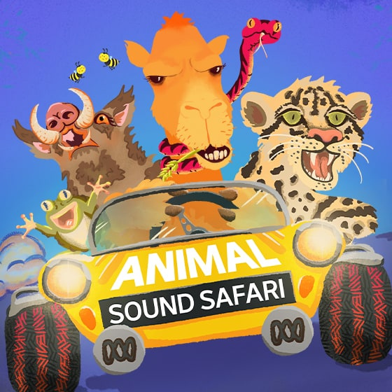 Animal Sound Safari