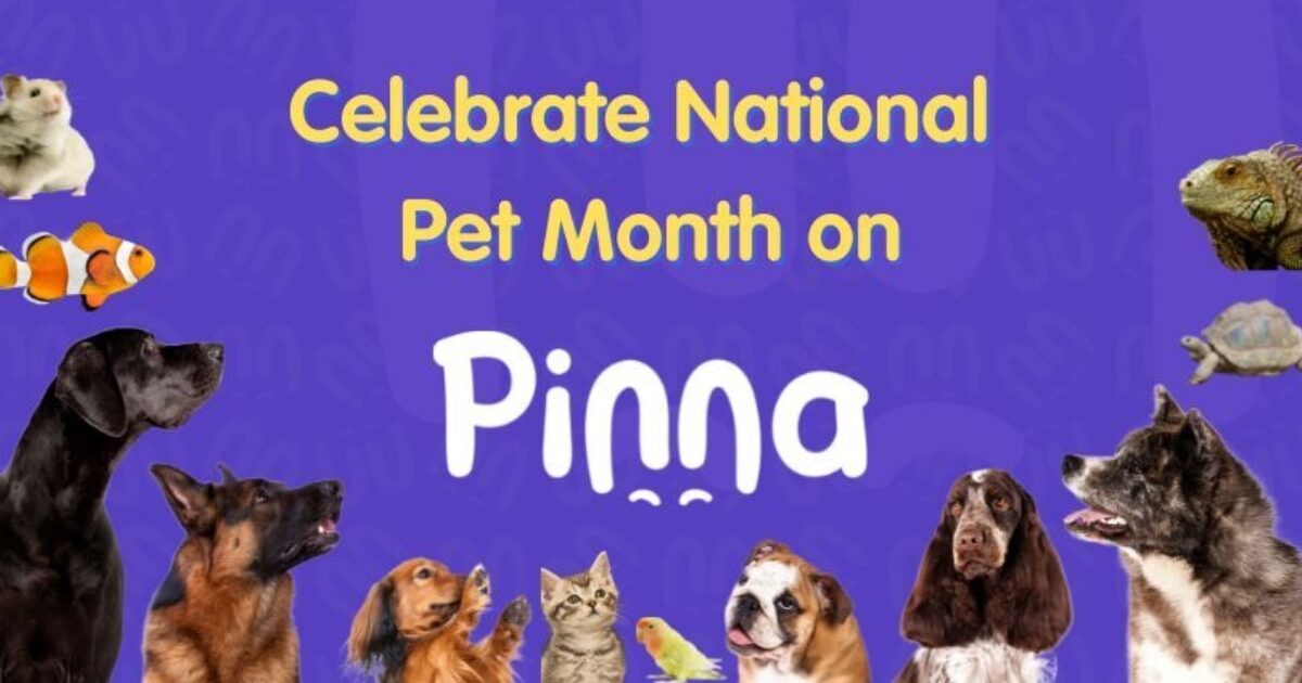Celebrate National Pet Month This May With Our Collection Of Delightful